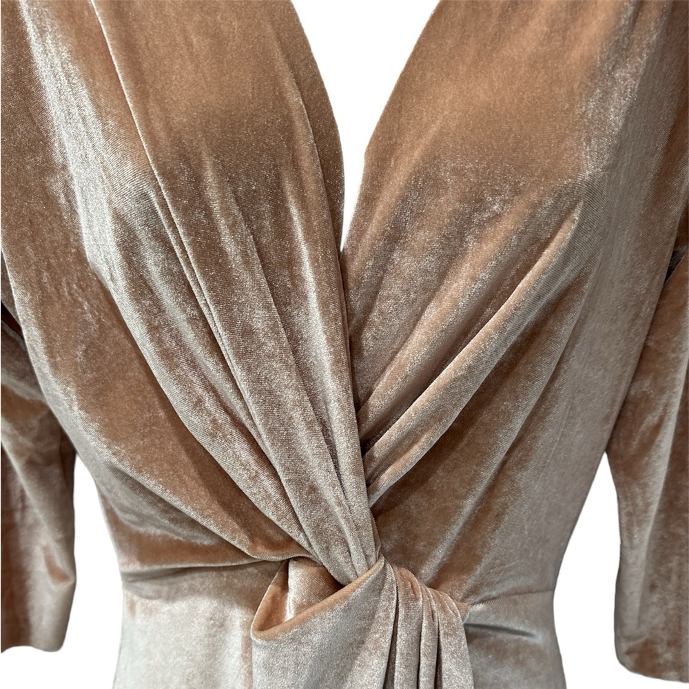 Zara Velvet Dress
